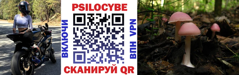 Псилоцибиновые грибы ЛСД  Реутов 
